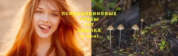 твердый Пестово