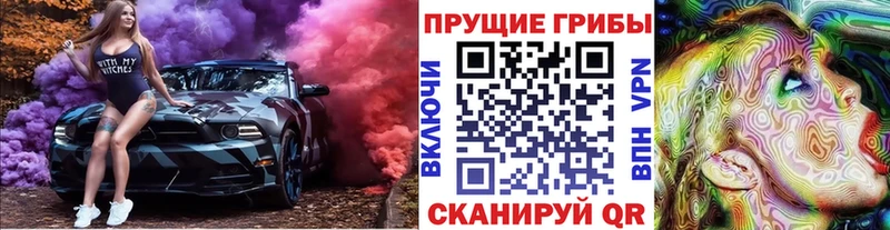 Псилоцибиновые грибы Magic Shrooms  нарко площадка как зайти  Кольчугино 